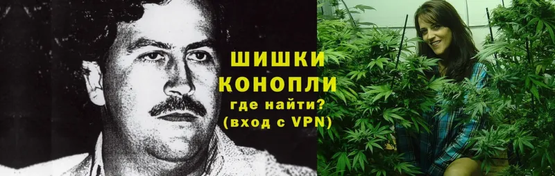 Бошки марихуана Ganja  закладка  мега ссылки  Полтавская 